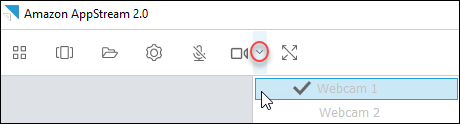 Dropdown menu showing two webcam options, with one selected as indicated by a checkmark.