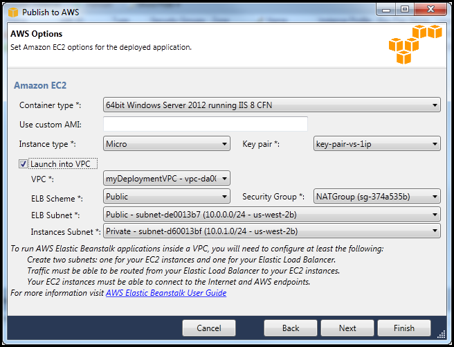 AWS Options dialog for EC2 deployment with container type, instance, VPC, and networking settings.