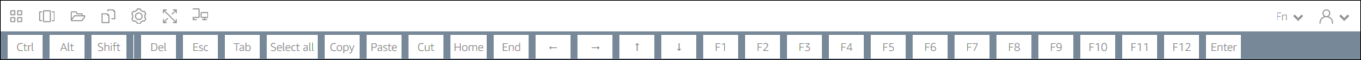 Keyboard shortcut toolbar displaying Windows-specific keys and function keys.