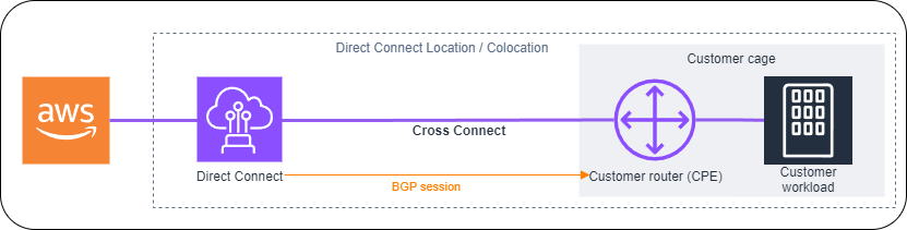 Imagem que ilustra a conectividade do Direct Connect com recursos implantados no mesmo data center que a localidade do Direct Connect.