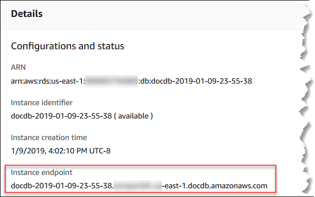 Captura de tela do console mostrando a página de detalhes com o endpoint da instância destacado.