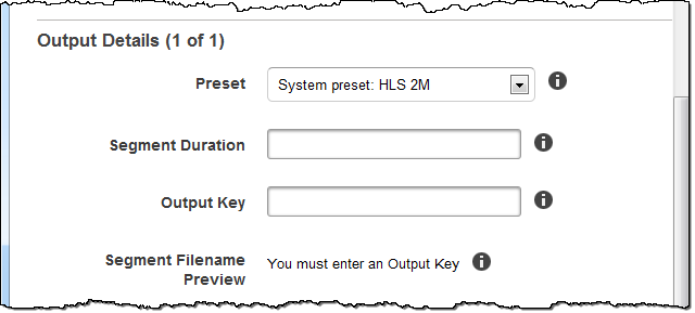 Captura de tela de Output Details, parte 1.