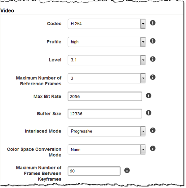 Captura de tela de Codec Options.