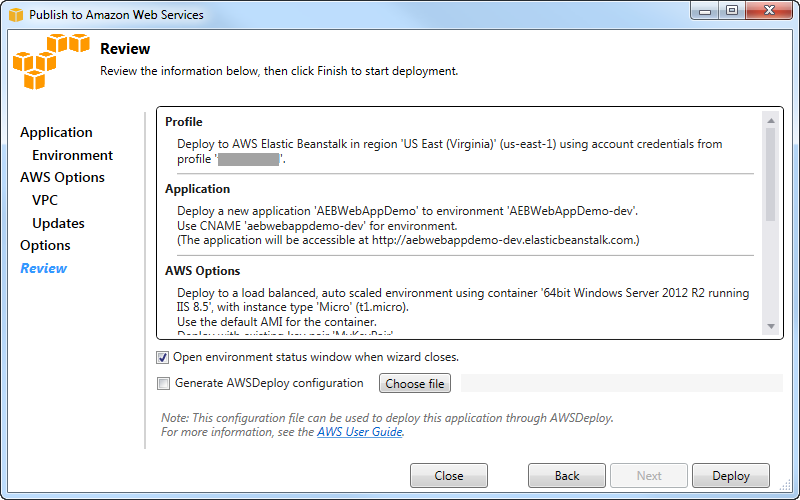 Review window for publishing an application to AWS Elastic Beanstalk with deployment details.
