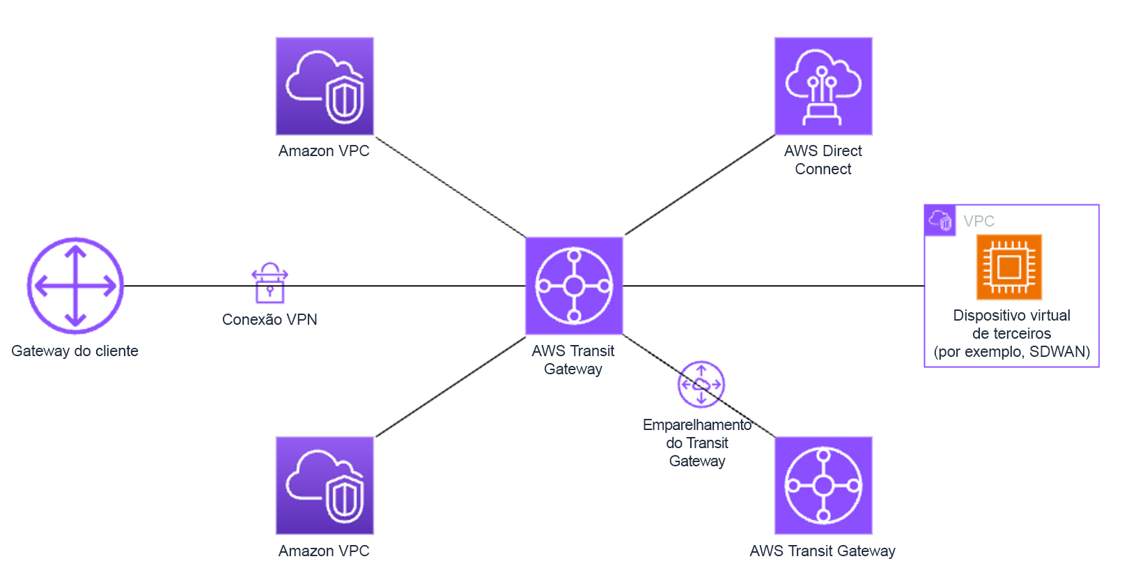 AWS Transit Gateway connecting various services like VPCs, Direct Connect, and third-party appliances.