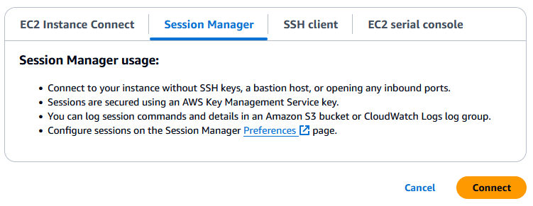 “Session Manager”选项卡上的“连接”按钮。