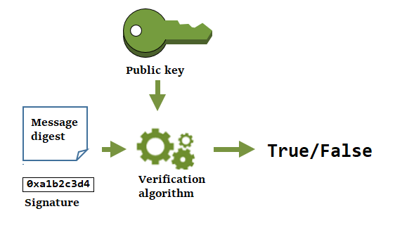 在 AWS KMS 外部使用数据密钥对中的公有密钥验证加密签名。