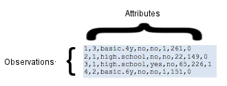 Diagram showing Attributes and Observations sections with sample data entries.