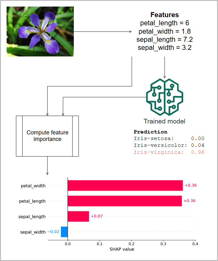 通过使用实测特征和 SHAP 属性预测一种鸢尾