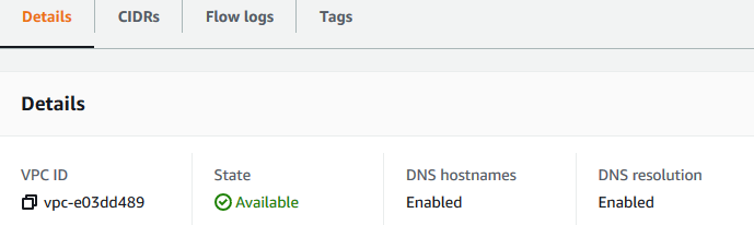 “DNS Settings (DNS 设置)”选项卡