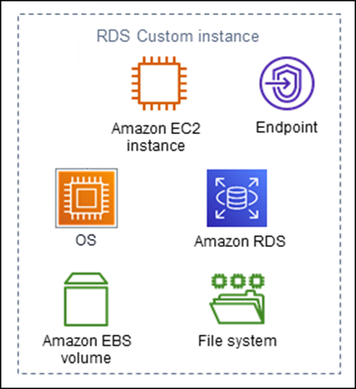 RDS Custom 資料庫執行個體元件