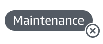 Gray button labeled "Maintenance" with an X icon for dismissal or closure.