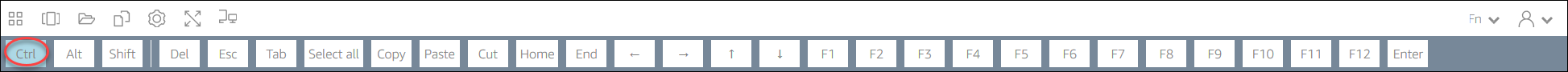Ctrl key highlighted in blue on a keyboard shortcut toolbar.