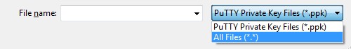 Putty 金鑰檔案類型