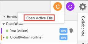 中的 Open Active File 命令 AWS Cloud9 IDE