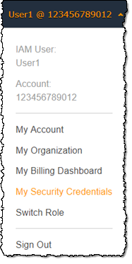 AWS 管理主控台我的安全憑證連結
