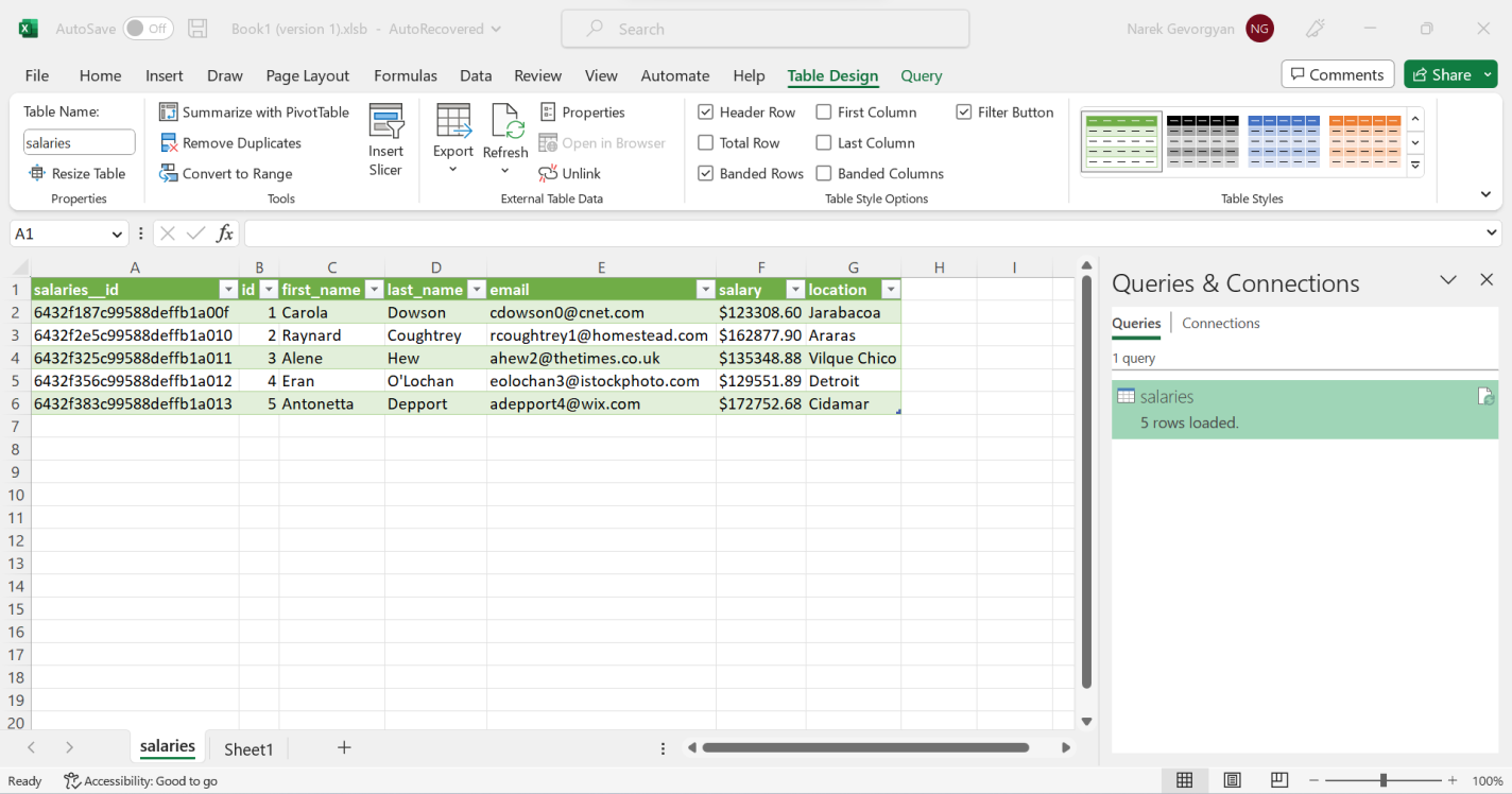 Excel 試算表顯示所選薪資表中的五列資料。
