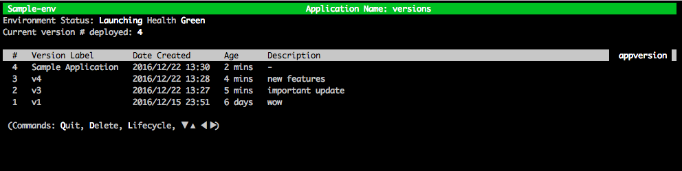 Application versions table showing 4 versions, with the latest labeled "Sample Application" deployed 2 minutes ago.