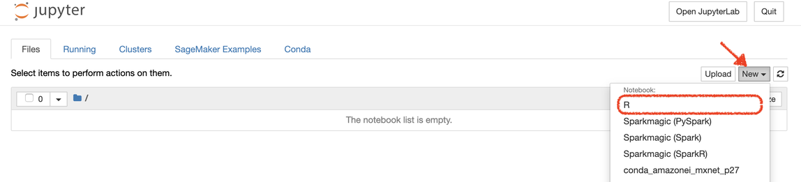 Location of the R kernel in the list of available environments.