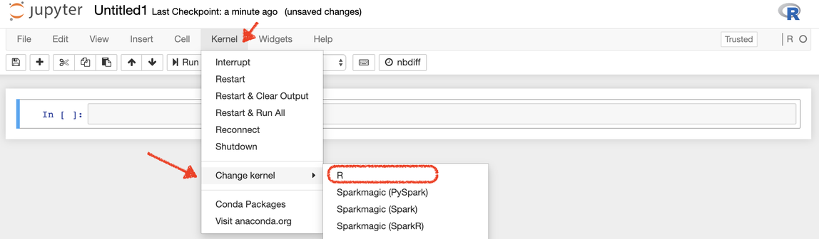 Location of where to change your notebook kernel to R.